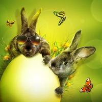 Funny Easter bunny. Happy Easter holiday concept. photo