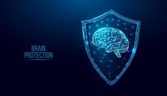 Human brain in guard shield.  Cyber security concept with glowing low poly brain and shield on dark blue background. Wireframe low poly design. Abstract futuristic vector illustration.