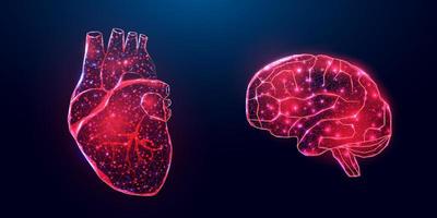 Human heart and brain. Wireframe low poly style. Abstract modern 3d vector illustration on dark blue background.