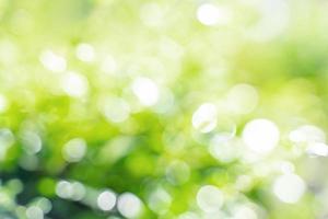 Bokeh leaf with sunlight, use for background. photo