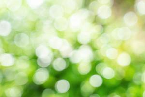 Bokeh leaf with sunlight, use for background. photo