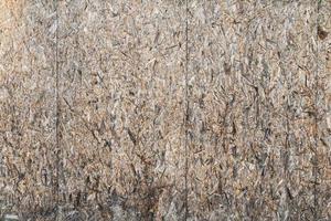 Wood abstract texture. Surface grunge backdrop. Dirty wooden effect pattern. Material background. photo