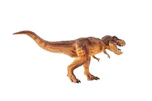 Tyrannosaurus rex  , Dinosaur on isolation background photo