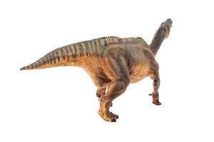 Iguanodon , Dinosaur on white background photo