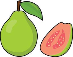 Guava Graphics Vector Illustration