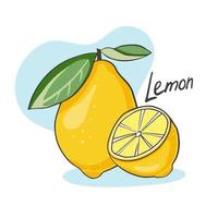 Ripe juicy lemon. Whole citrus and half. Vector illustration of ripe fruit. Diet and vegetarian food