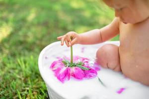 Happy toddler girl takes a milk bath with petals. Little girl in a milk bath on a green background. Bouquets of pink peonies. Baby bathing. Hygiene and care for young children. photo