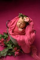 Closeup portrait of cute newborn girl sleeping wrapped in purple soft blanket, wearing stylish head flower, baby fashion concept