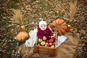 Little girl chooses an apple for the first feeding photo