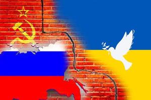 imagen de desenfoque bandera borrosa de rusia y ucrania con una paloma blanca de pájaro de la paz pintada en una pared de hormigón. relación entre ucrania y rusia. foto