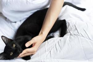 A black Thai cat lies comfortably and looks at the camera with a woman's hand hugged on a white bed.