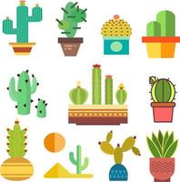 vector de cactus en maceta y varios modelos de naturaleza