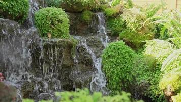 una pequeña cascada decorativa en el parque o en el jardín. diseño de exteriores. fuente de cascada para la decoración de jardines tropicales con pequeñas plantas verdes video