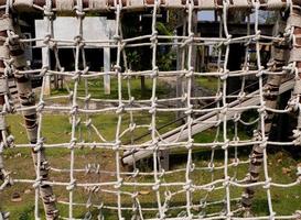 bridge and net photo