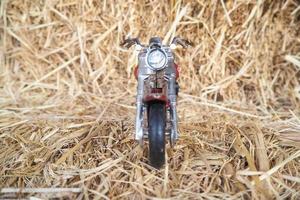 Motorcycle model on straws photo