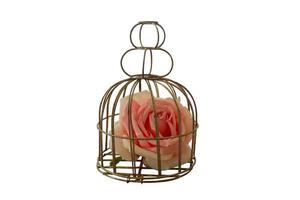 flower and cage photo