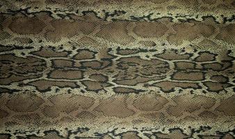 texture of print fabric stripes snake for background photo