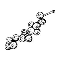 Simple vector ink drawing. Red currant berries on a branch in black outline isolated on a white background. Ingredient, menu, recipe. Garden crops, plants.