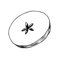 Simple vector ink sketch. Round slice of apple. Dried fruits, cut. Food.