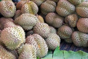 Group of durian in the market photo