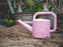 pink and ground photo