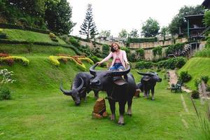 buffalo and woman photo