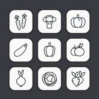 conjunto de iconos de línea de verduras vector