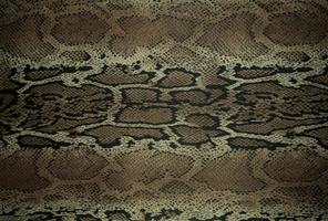 texture of fabric stripes snake leather for background photo
