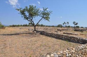 Olynthus ruins in Chalkidiki photo