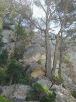 vista de cala galdana en la isla de menorca en españa foto