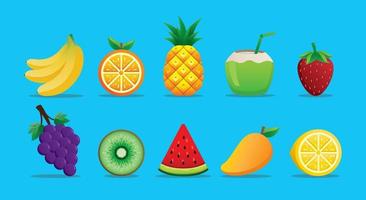 summer fruits graphic vector set.