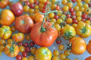 tomato vegetables food photo