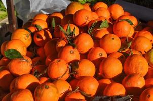 comida de fruta mandarina