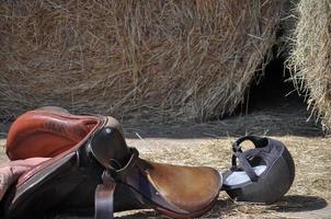 horse riding saddle photo