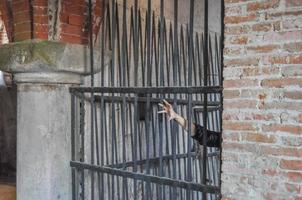 Scary terrifying hand in a castle prison photo