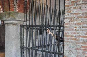 Scary terrifying hand in a castle prison photo