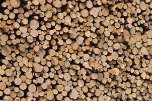 heap of wooden logs background photo