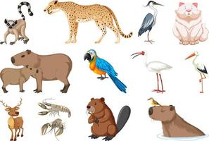 conjunto de diferentes tipos de animales vector