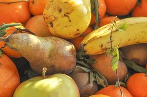 Many different fruits including pear orange banana apple photo