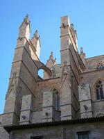 Catedral de la seu en palma de mallorca foto