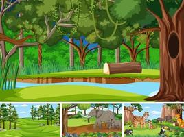 Different forest scenes with wild animals vector