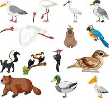 colección de diferentes tipos de animales vector