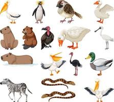 colección de diferentes tipos de animales vector