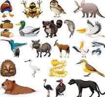 colección de diferentes tipos de animales vector