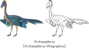 dibujo de dinosaurio de archaeopteryx vector