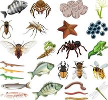diferentes tipos de insectos y animales sobre fondo blanco vector