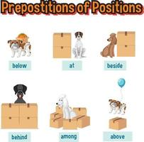 wordcard de preposición con caja y perro vector