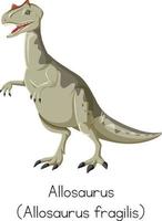 Allosaurus fragilis de pie sobre fondo blanco. vector