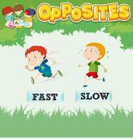 Opposite words for fast and slow vector