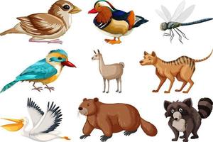 colección de diferentes tipos de animales vector